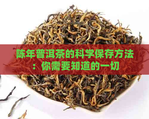 陈年普洱茶的科学保存方法：你需要知道的一切