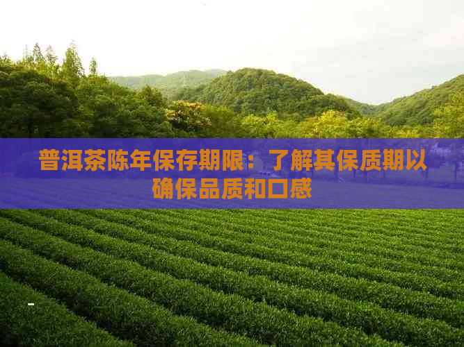 普洱茶陈年保存期限：了解其保质期以确保品质和口感