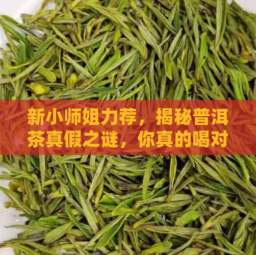 新小师姐力荐，揭秘普洱茶真假之谜，你真的喝对了吗？