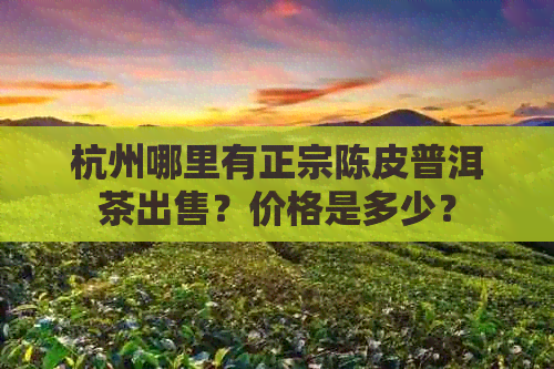 杭州哪里有正宗陈皮普洱茶出售？价格是多少？