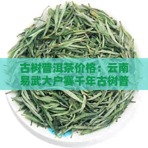 古树普洱茶价格：云南易武大户赛千年古树普洱茶，邦东等地区价格解析。