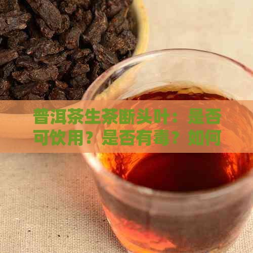 普洱茶生茶断头叶：是否可饮用？是否有？如何处理？