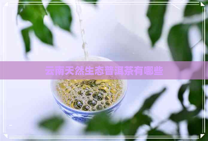 云南天然生态普洱茶有哪些