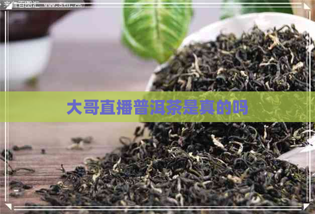 大哥直播普洱茶是真的吗