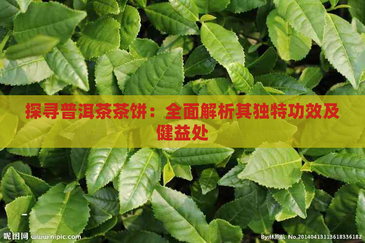 探寻普洱茶茶饼：全面解析其独特功效及健益处