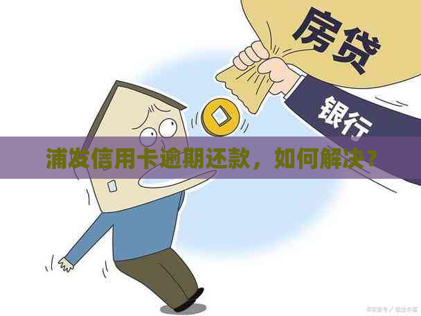 浦发信用卡逾期还款，如何解决？