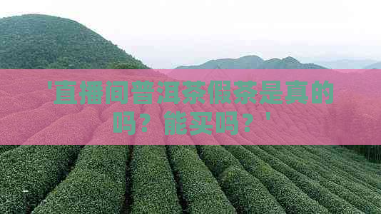 '直播间普洱茶假茶是真的吗？能买吗？'