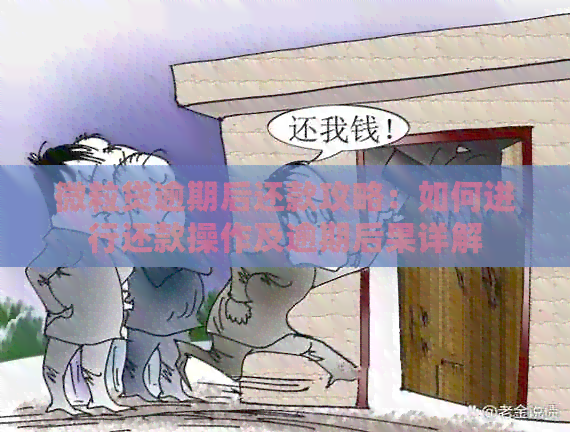 微粒贷逾期后还款攻略：如何进行还款操作及逾期后果详解