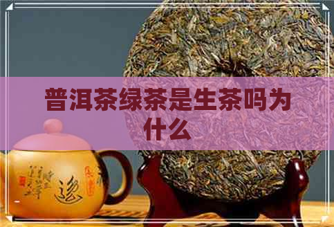 普洱茶绿茶是生茶吗为什么