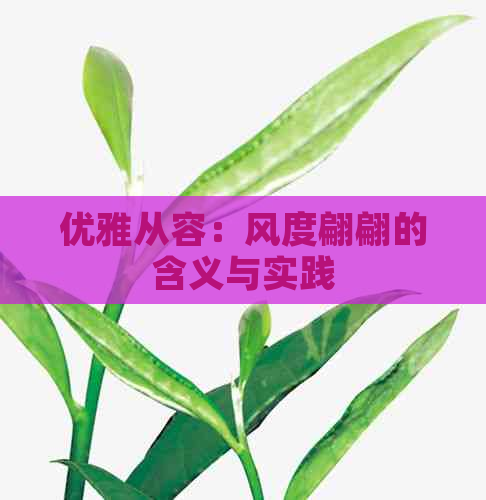 优雅从容：风度翩翩的含义与实践