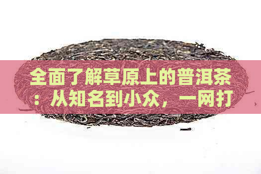 全面了解草原上的普洱茶：从知名到小众，一网打尽！