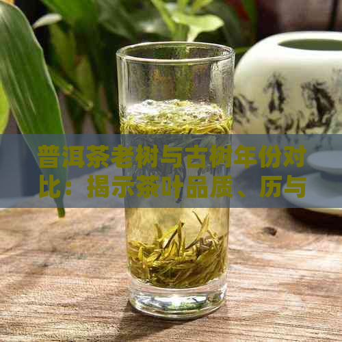 普洱茶老树与古树年份对比：揭示茶叶品质、历与传统的秘密