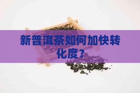 新普洱茶如何加快转化度？