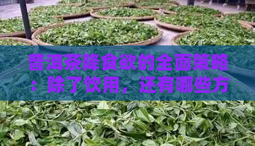 普洱茶降食欲的全面策略：除了饮用，还有哪些方法可以帮助控制食欲？