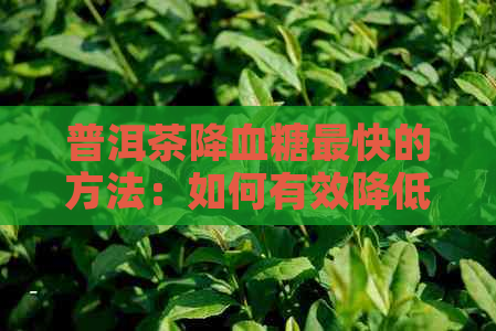 普洱茶降血糖最快的方法：如何有效降低血糖水平？