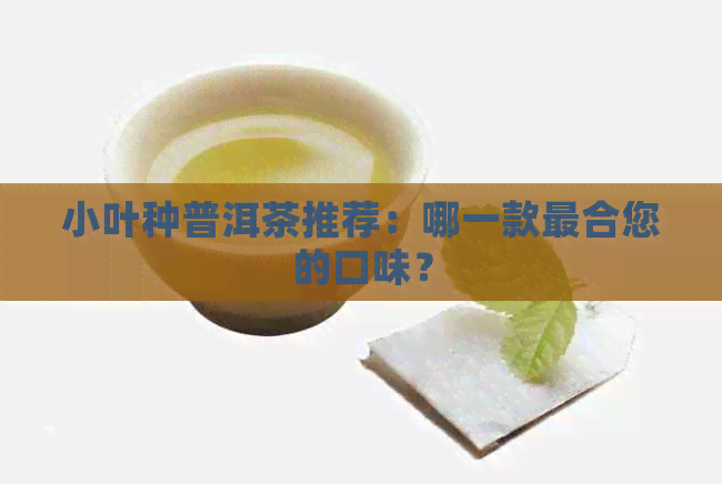 小叶种普洱茶推荐：哪一款最合您的口味？