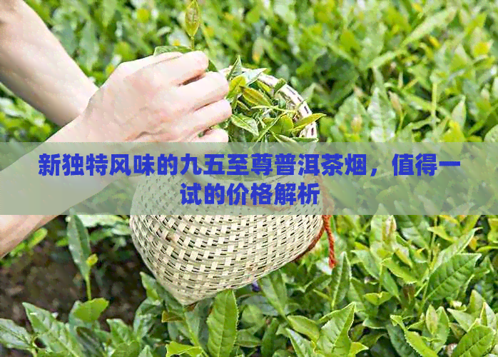 新独特风味的九五至尊普洱茶烟，值得一试的价格解析