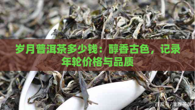 岁月普洱茶多少钱：醇香古色，记录年轮价格与品质