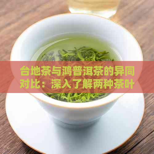 台地茶与鸿普洱茶的异同对比：深入了解两种茶叶特点及品尝技巧