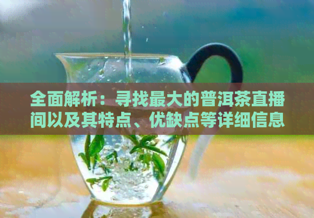 全面解析：寻找更大的普洱茶直播间以及其特点、优缺点等详细信息