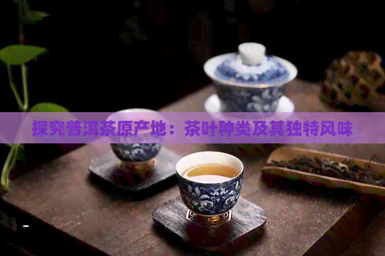 探究普洱茶原产地：茶叶种类及其独特风味