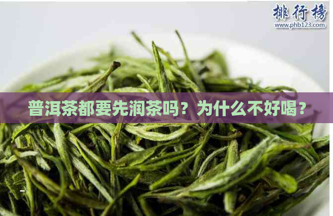 普洱茶都要先润茶吗？为什么不好喝？