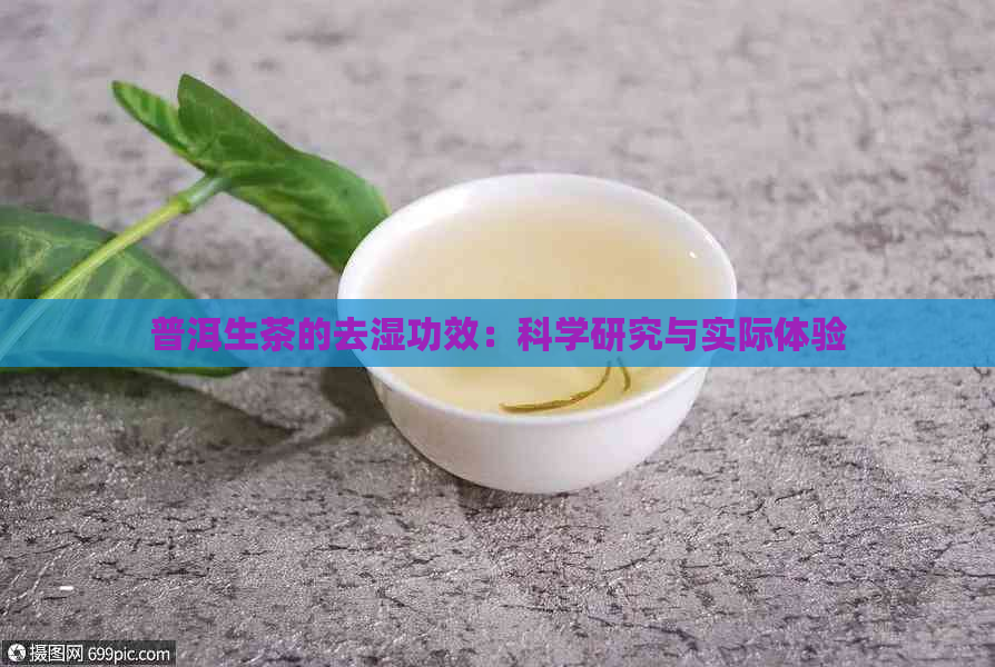 普洱生茶的去湿功效：科学研究与实际体验