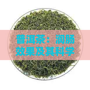 普洱茶：润肠效果及其科学原理解析