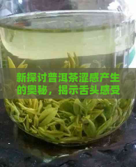 新探讨普洱茶涩感产生的奥秘，揭示舌头感受与品质之间的关系