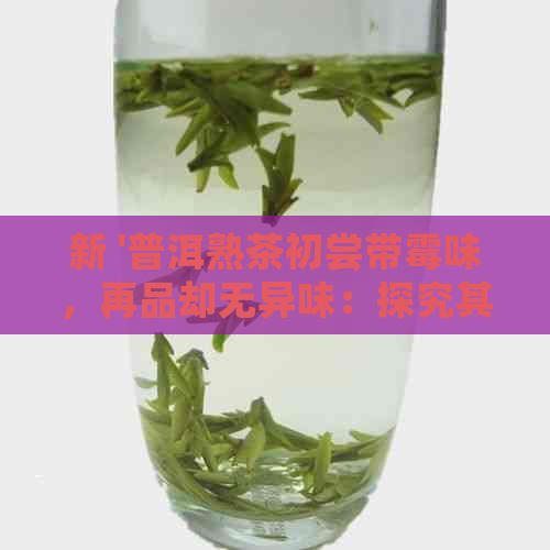 新 '普洱熟茶初尝带霉味，再品却无异味：探究其独特品质'