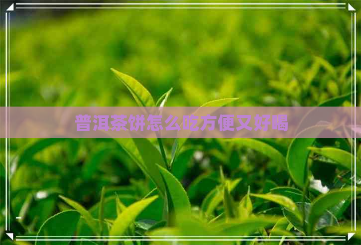 普洱茶饼怎么吃方便又好喝