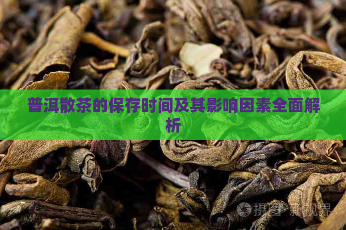 普洱散茶的保存时间及其影响因素全面解析