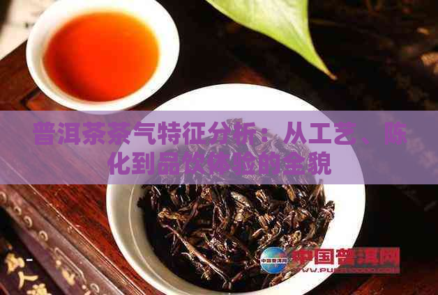 普洱茶茶气特征分析：从工艺、陈化到品饮体验的全貌