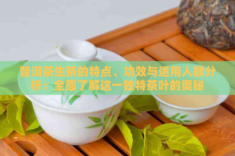 普洱茶生茶的特点、功效与适用人群分析：全面了解这一独特茶叶的奥秘