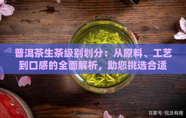 普洱茶生茶级别划分：从原料、工艺到口感的全面解析，助您挑选合适的茶叶