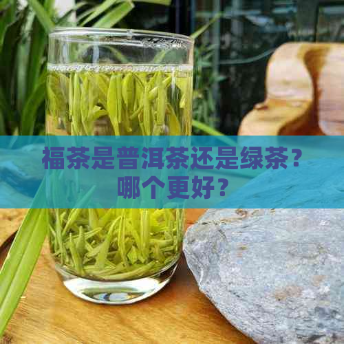 福茶是普洱茶还是绿茶？哪个更好？