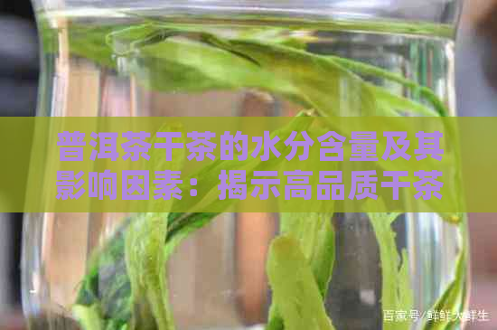 普洱茶干茶的水分含量及其影响因素：揭示高品质干茶的秘密