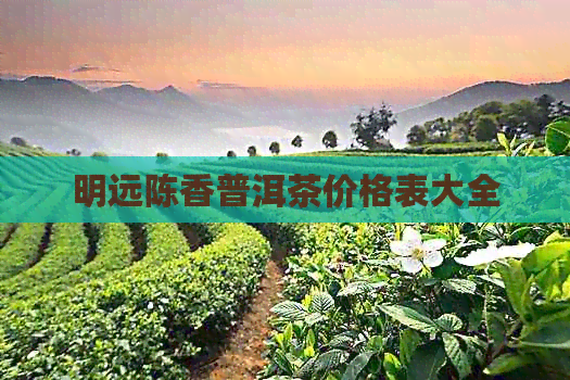 明远陈香普洱茶价格表大全