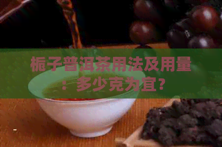 栀子普洱茶用法及用量：多少克为宜？