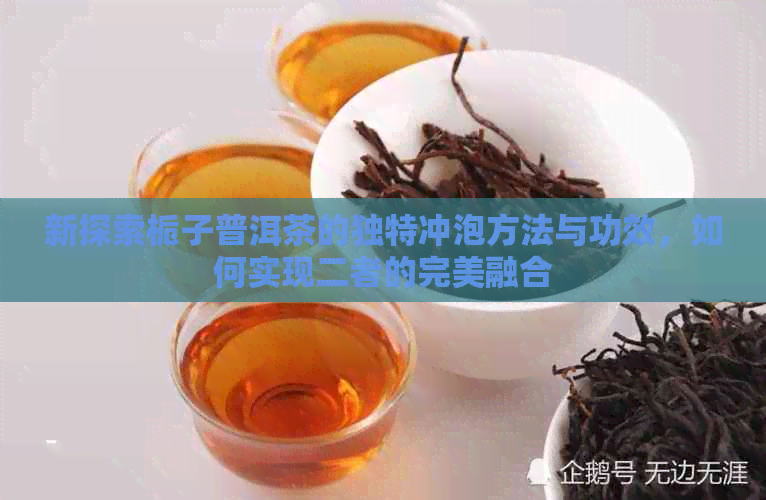 新探索栀子普洱茶的独特冲泡方法与功效，如何实现二者的完美融合