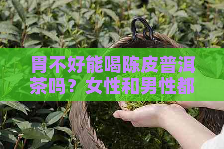 胃不好能喝陈皮普洱茶吗？女性和男性都可以喝陈皮普洱茶来改善胃部不适。