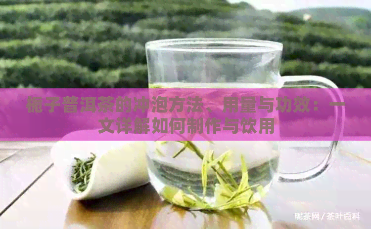 栀子普洱茶的冲泡方法、用量与功效：一文详解如何制作与饮用