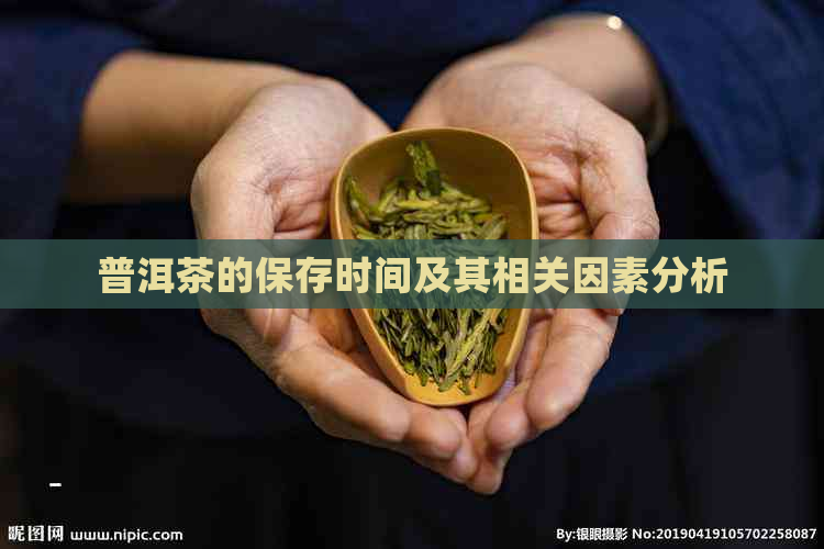 普洱茶的保存时间及其相关因素分析