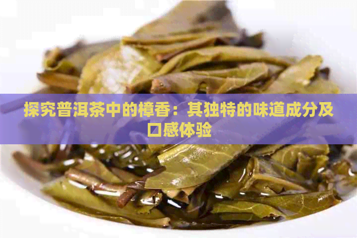 探究普洱茶中的樟香：其独特的味道成分及口感体验