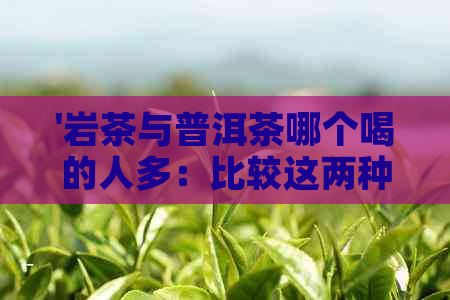 '岩茶与普洱茶哪个喝的人多：比较这两种茶的受欢迎程度'