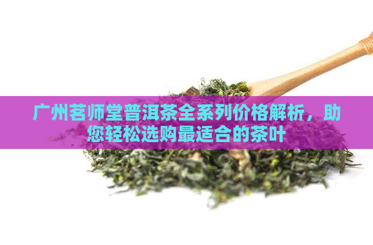 广州茗师堂普洱茶全系列价格解析，助您轻松选购最适合的茶叶