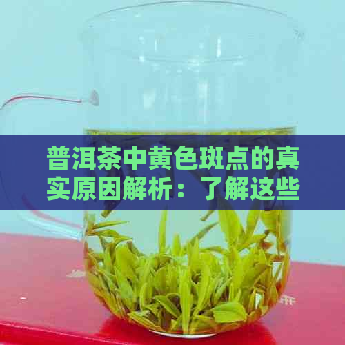 普洱茶中黄色斑点的真实原因解析：了解这些因素有助于避免购买劣质茶