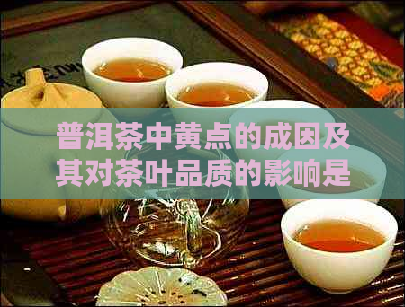 普洱茶中黄点的成因及其对茶叶品质的影响是什么？