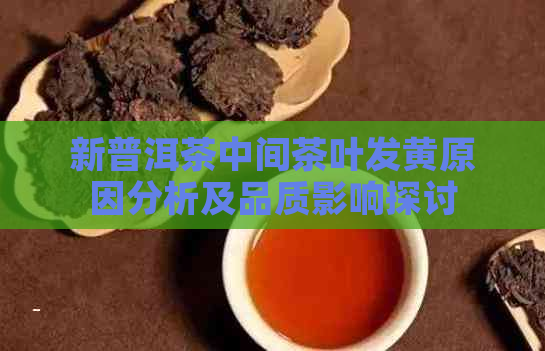 新普洱茶中间茶叶发黄原因分析及品质影响探讨