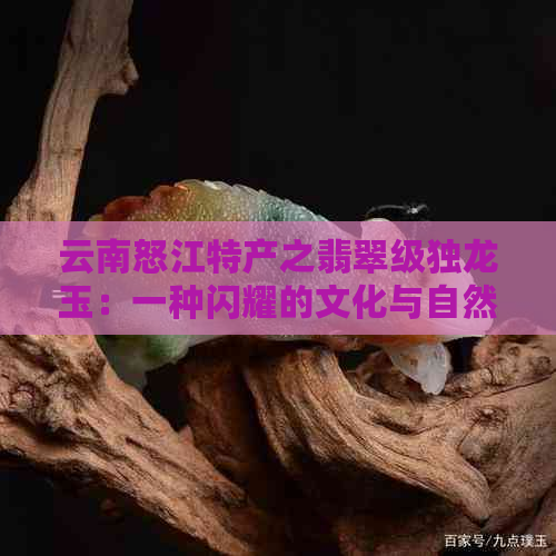 云南怒江特产之翡翠级独龙玉：一种闪耀的文化与自然之宝。